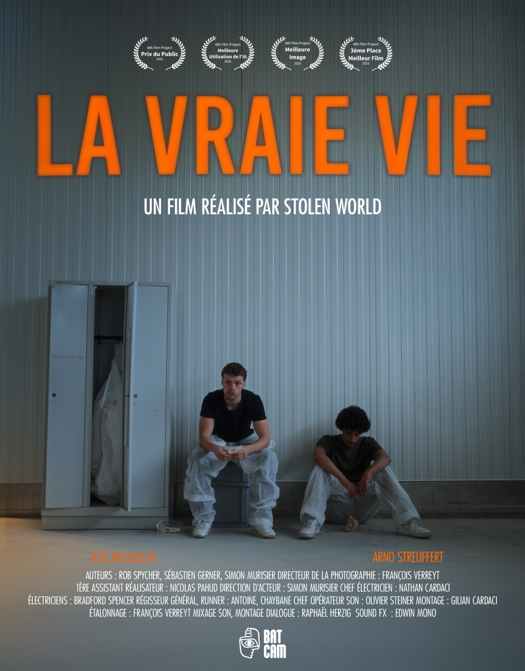 Filmposter for La vraie vie